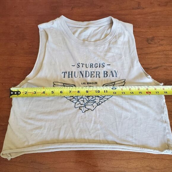 FREE with Purchase Bar Limited Sleeveless Crop Top Size Small - Picture 4 of 5